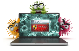 Niagara Virus Removal