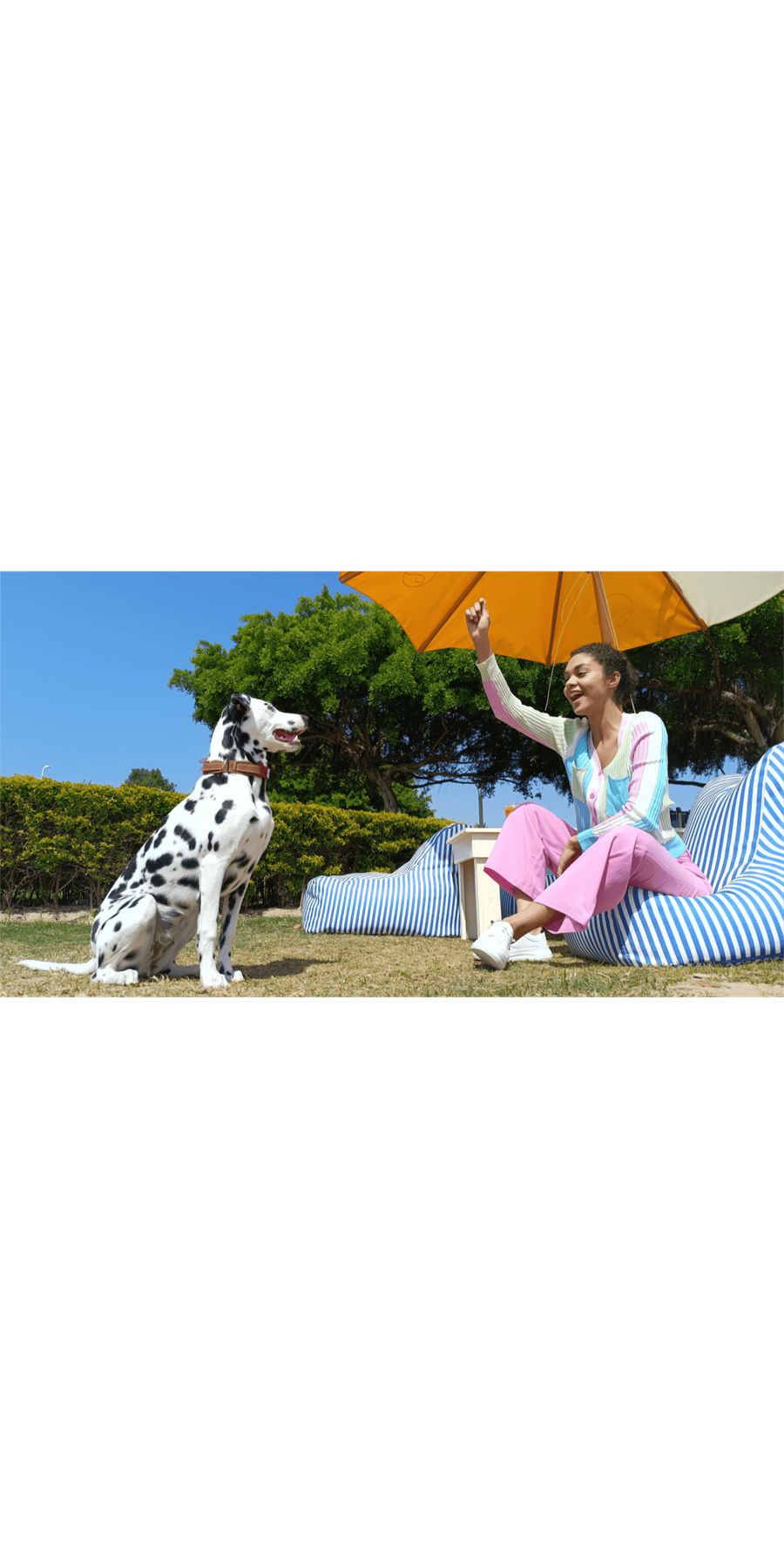 Redmi Note 12 Pro+ illustrative graphic