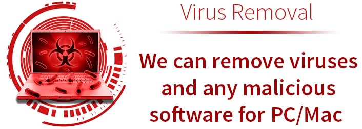 Virus Removal niagara